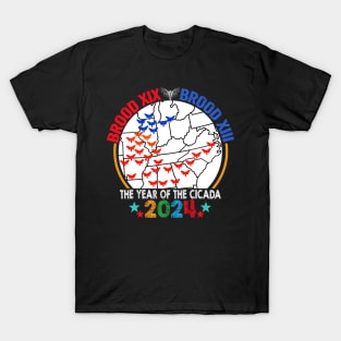 Cicada Brood USA Map Tsunami Bugs Brood XIX Brood XIII 13 Year Of The Cicada 2024 T-Shirt